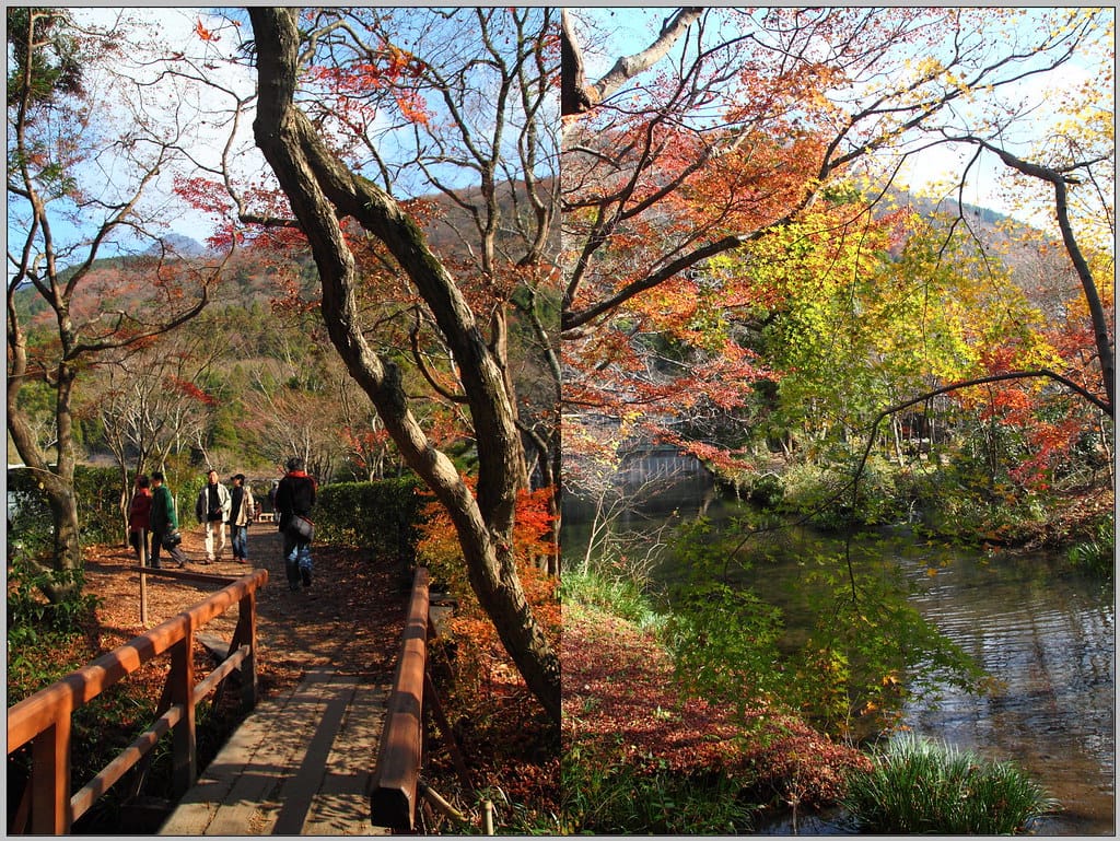10 由布院 金鱗湖