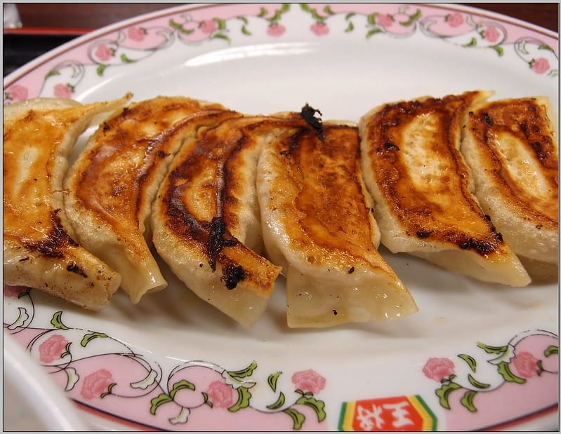 10 熊本 餃子王將 餃子