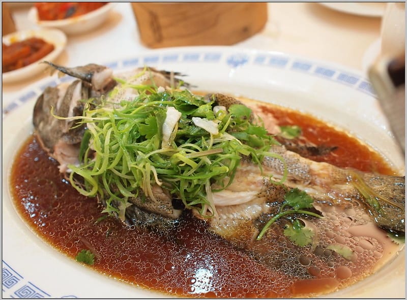 27 龍都酒樓 石斑魚