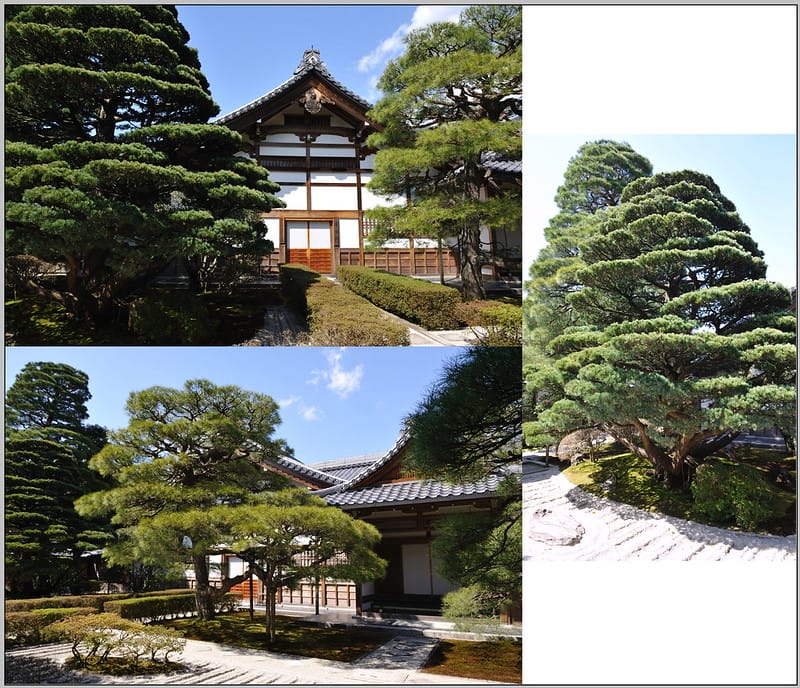 8 銀閣寺 庫裡