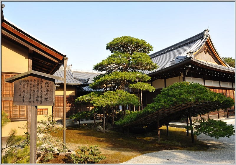 45 金閣寺 陸舟之松