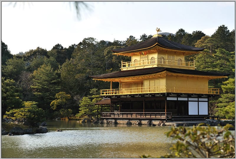 41 金閣寺