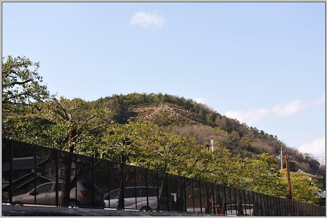 54 金閣寺 左大文字山