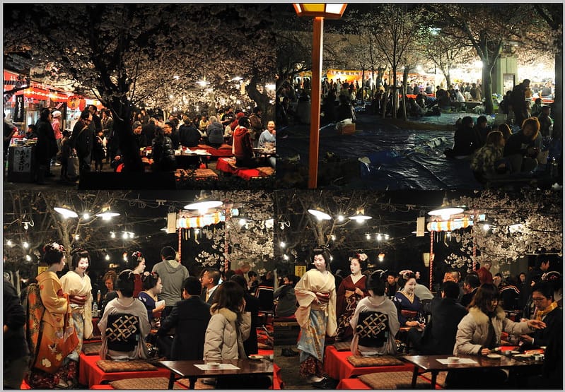29 京都 圓山公園