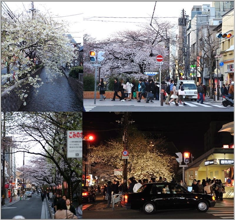 35 京都 阪急.河原町站 櫻花
