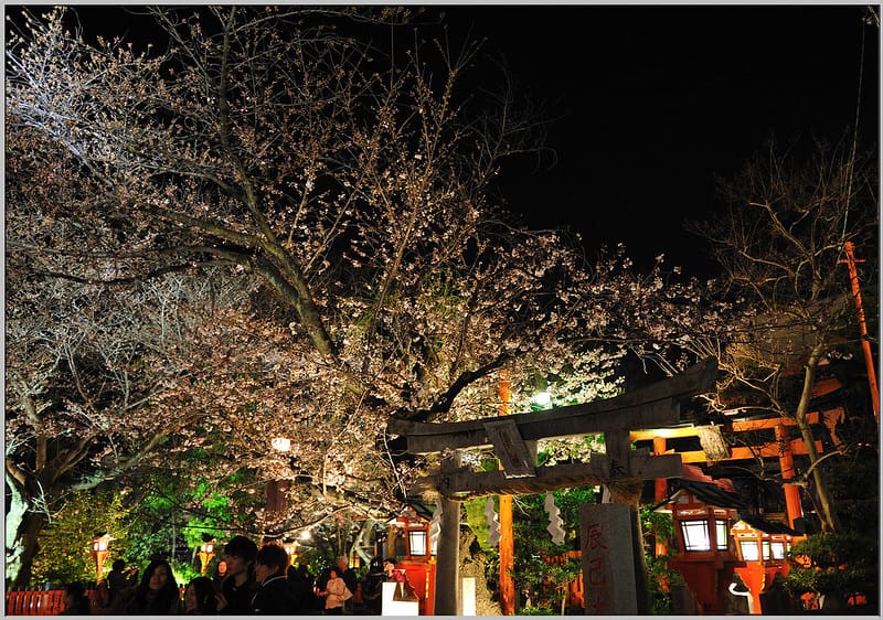 11 京都 白川南通