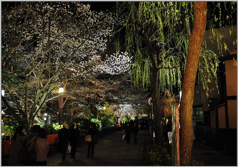 12 京都 白川南通