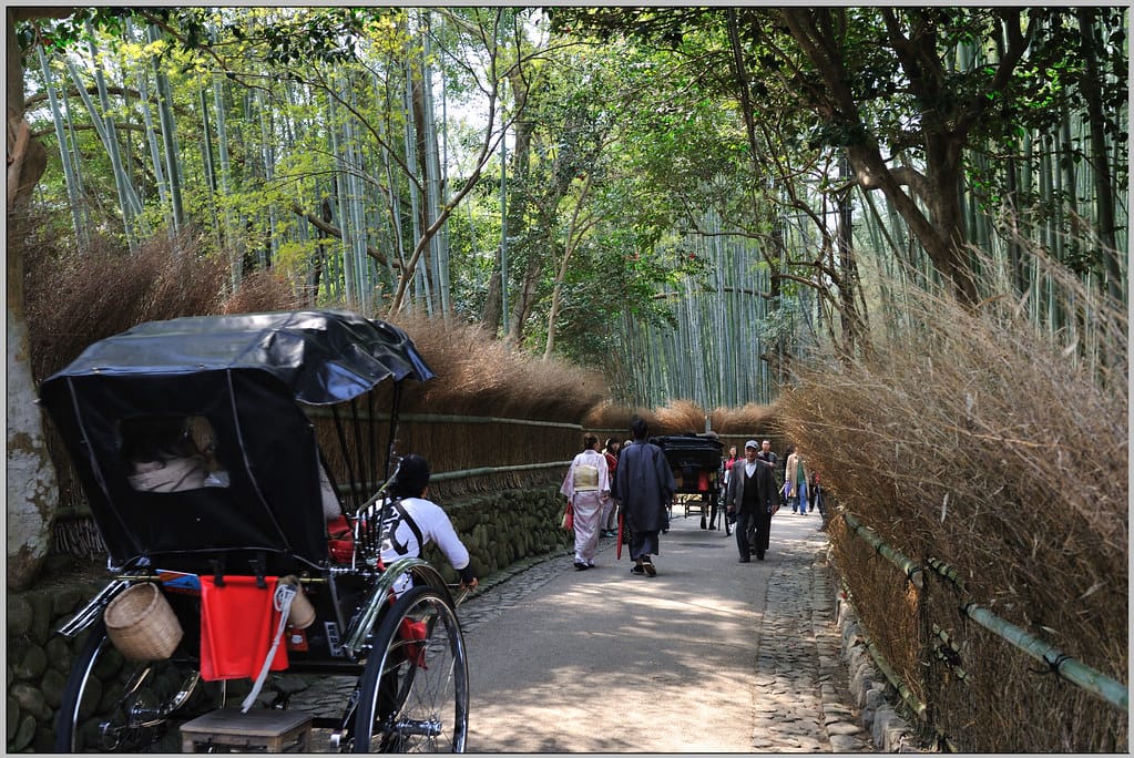 16 京都 嵐山 野宮竹