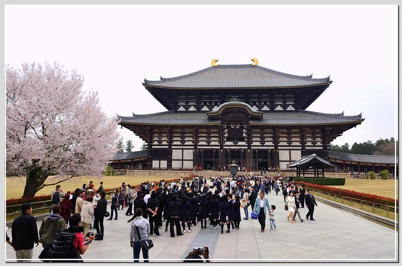 31 大阪 東大寺
