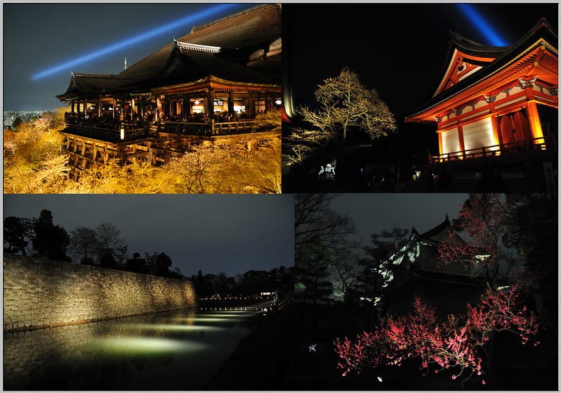 1 京都 夜櫻