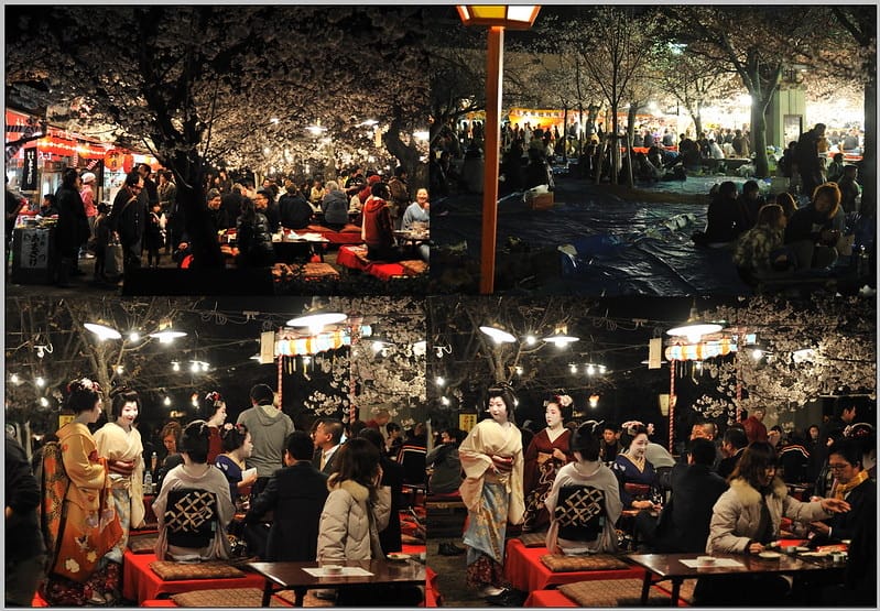 86 京都 圓山公園