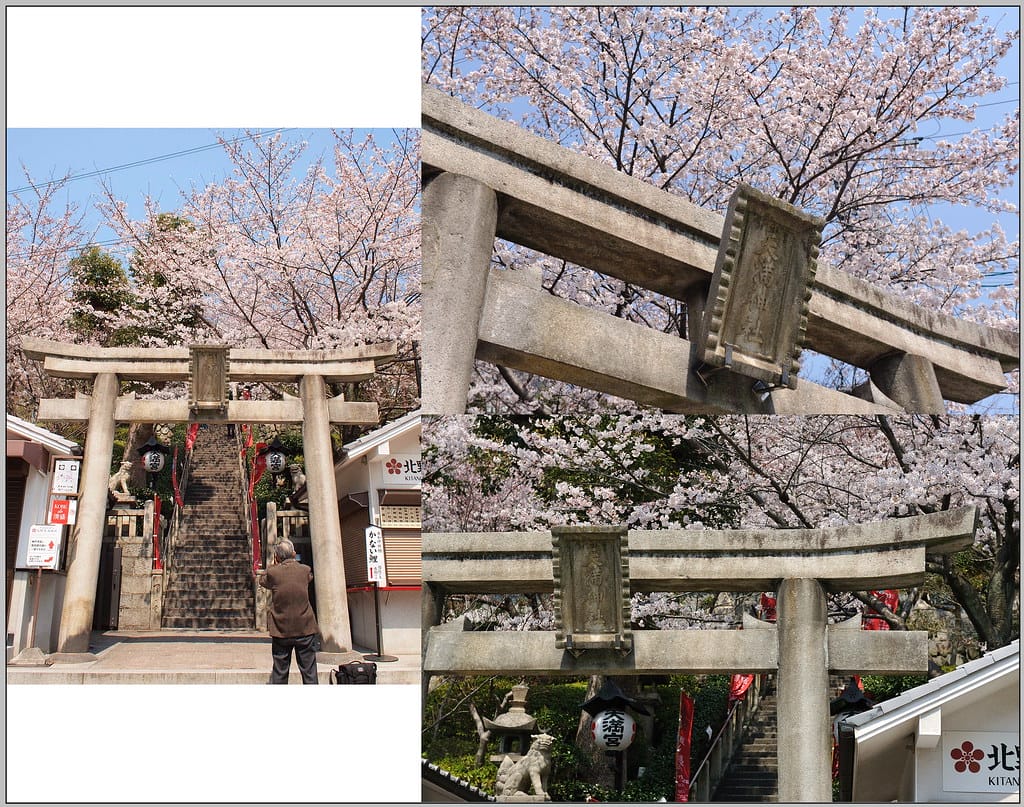 48 神戶 北野天滿神社 櫻花