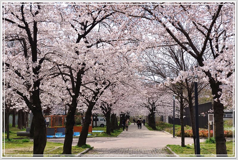 9 大阪 櫻之宮公園