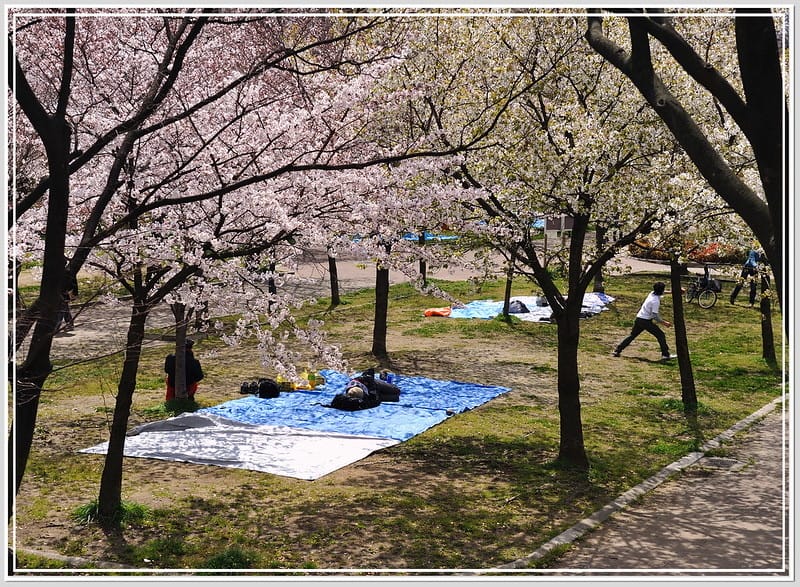 7 大阪 櫻之宮公園