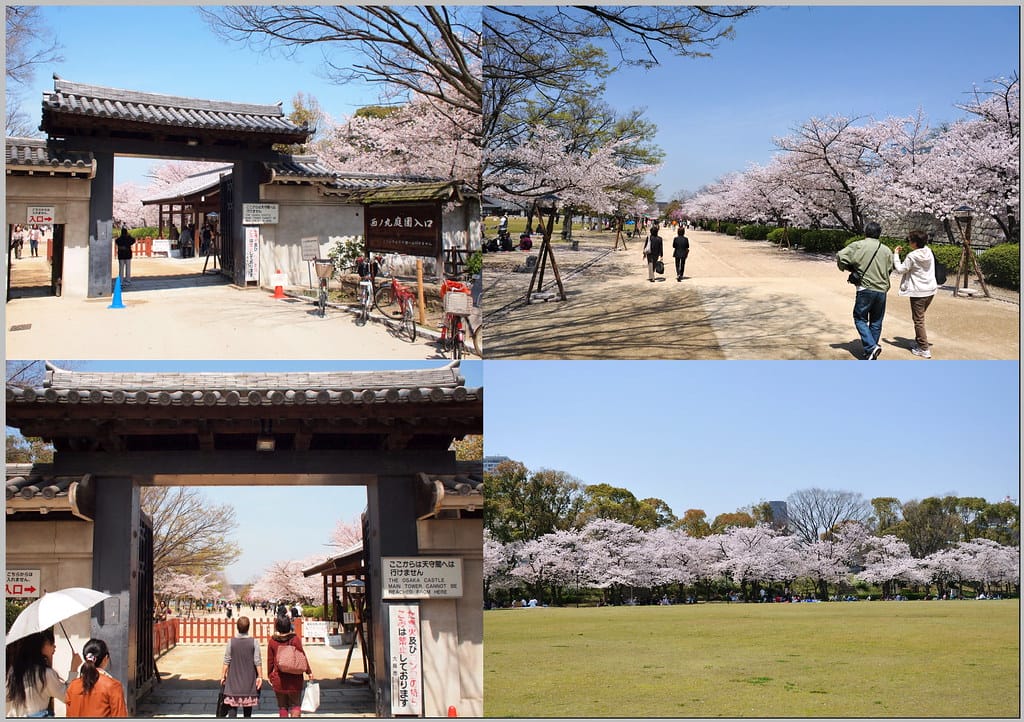 51 大阪城公園.西之丸庭園