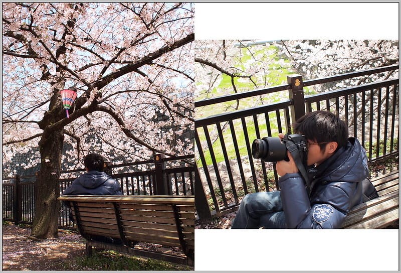 54 大阪城公園.西之丸庭園