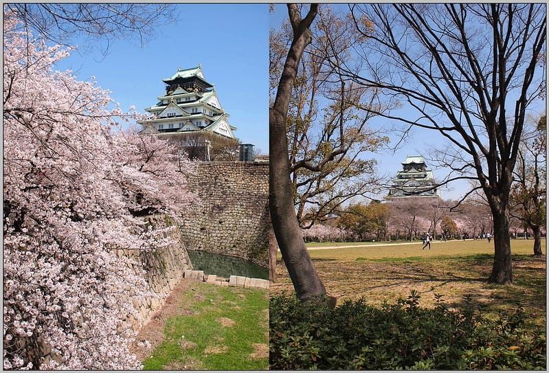 57 大阪城公園.天守閣