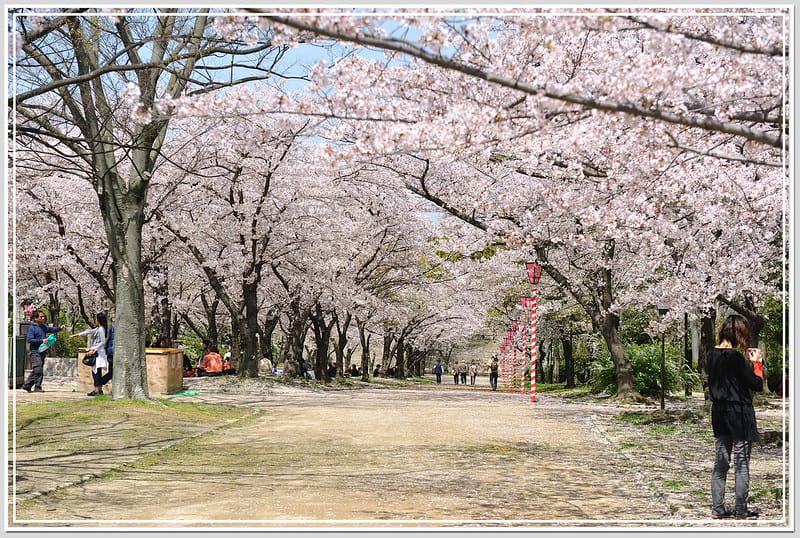52 大阪城公園.西之丸庭園