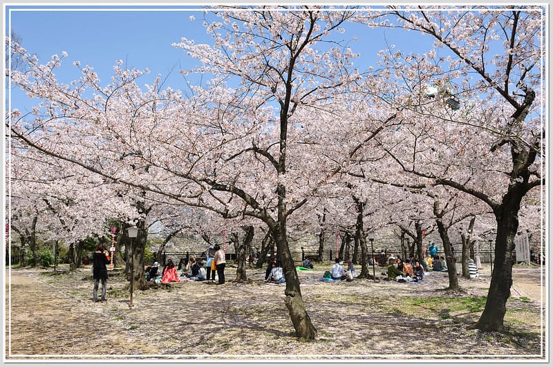 53 大阪城公園.西之丸庭園