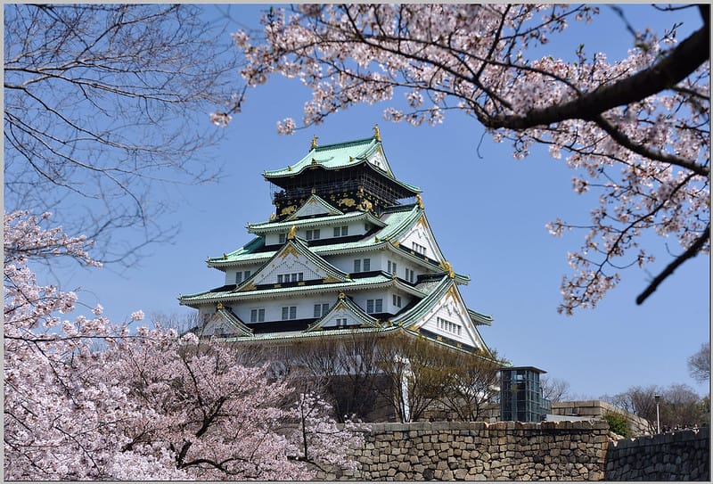 56 大阪城公園.天守閣