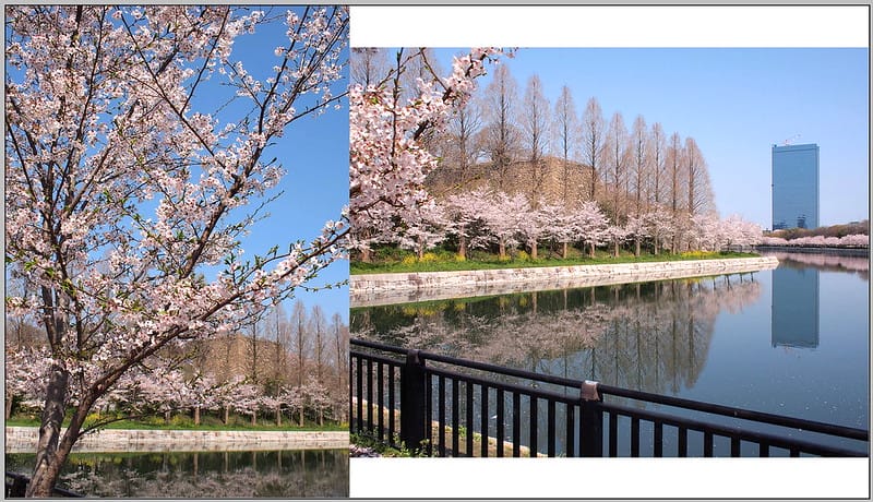 7 大阪城公園