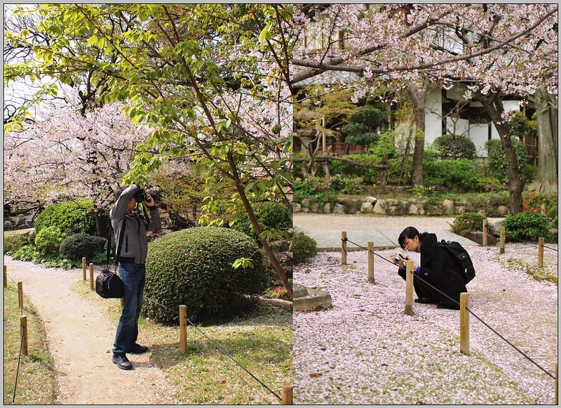 21 大阪 四天王寺 櫻花