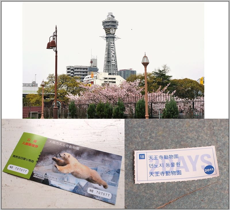 3 大阪市天王寺動物園