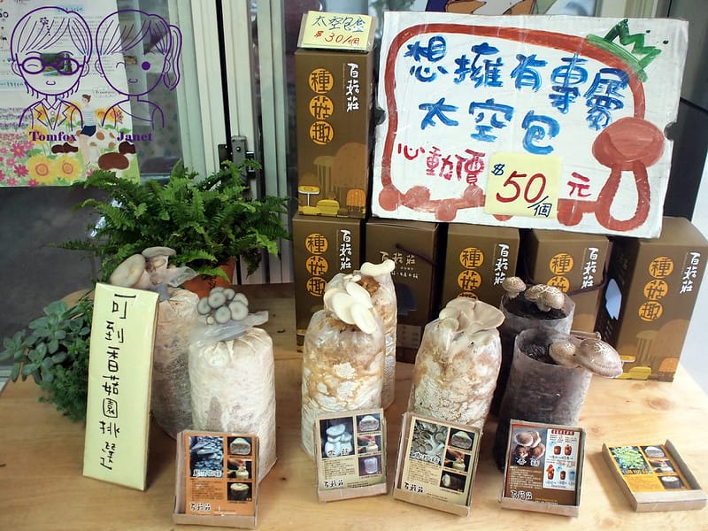 12 百菇莊 太空包