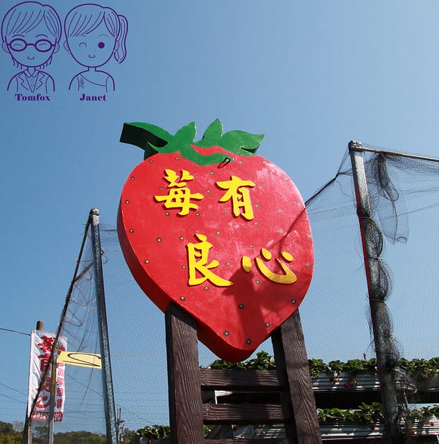 2 莓有良心