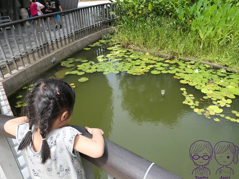 59 宏亞巧克力共和國 水池