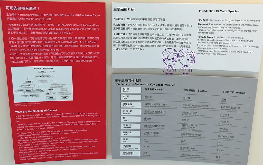 25 宏亞巧克力共和國 本館 介紹