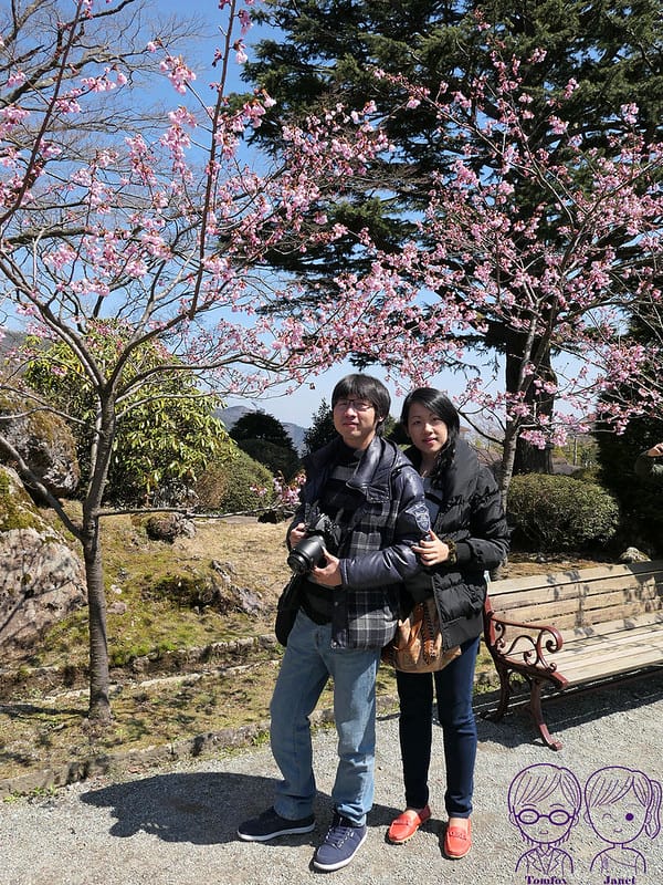 44 箱根強羅公園 櫻花