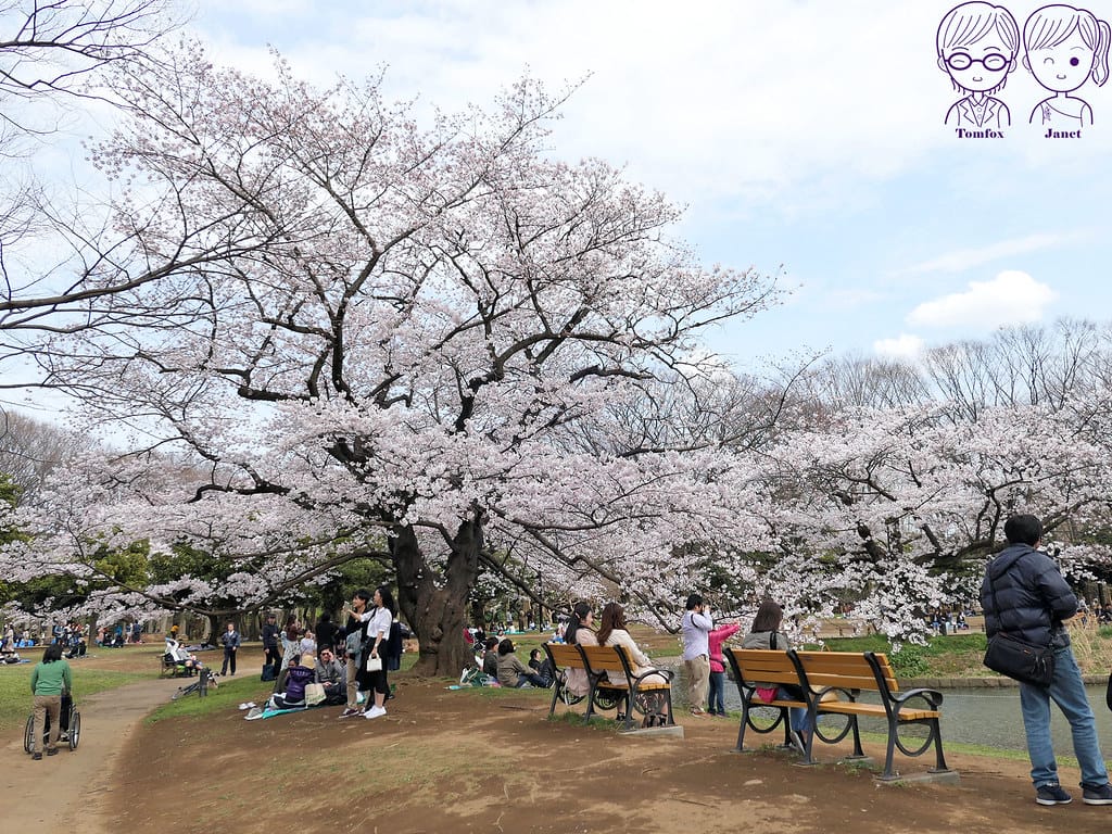 1 代代木公園
