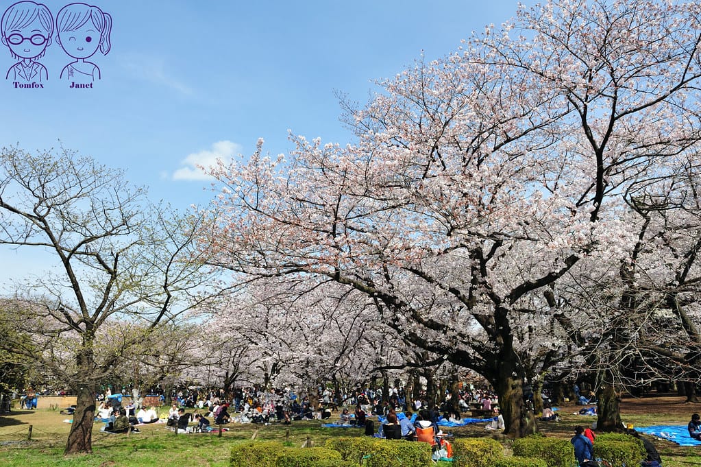 0 代代木公園