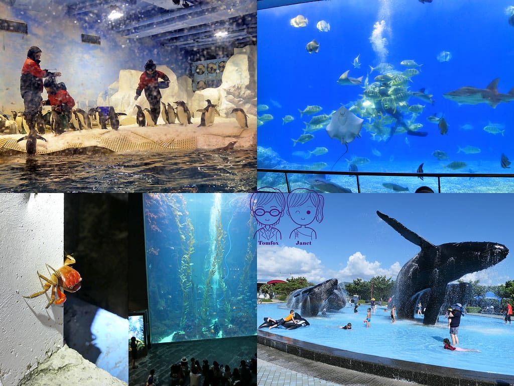1 夜宿海生館