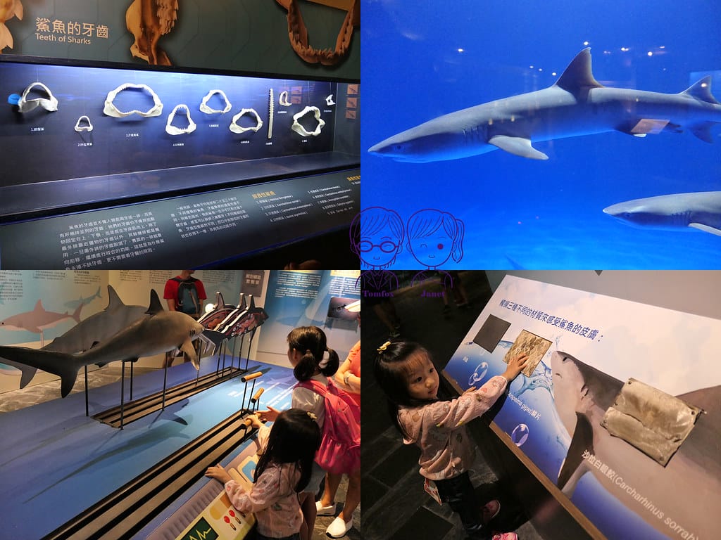 79 海生館 世界水域館