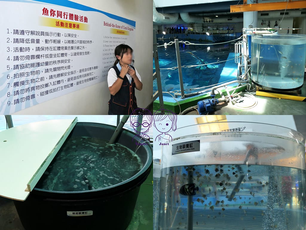 72 海生館 後場參觀