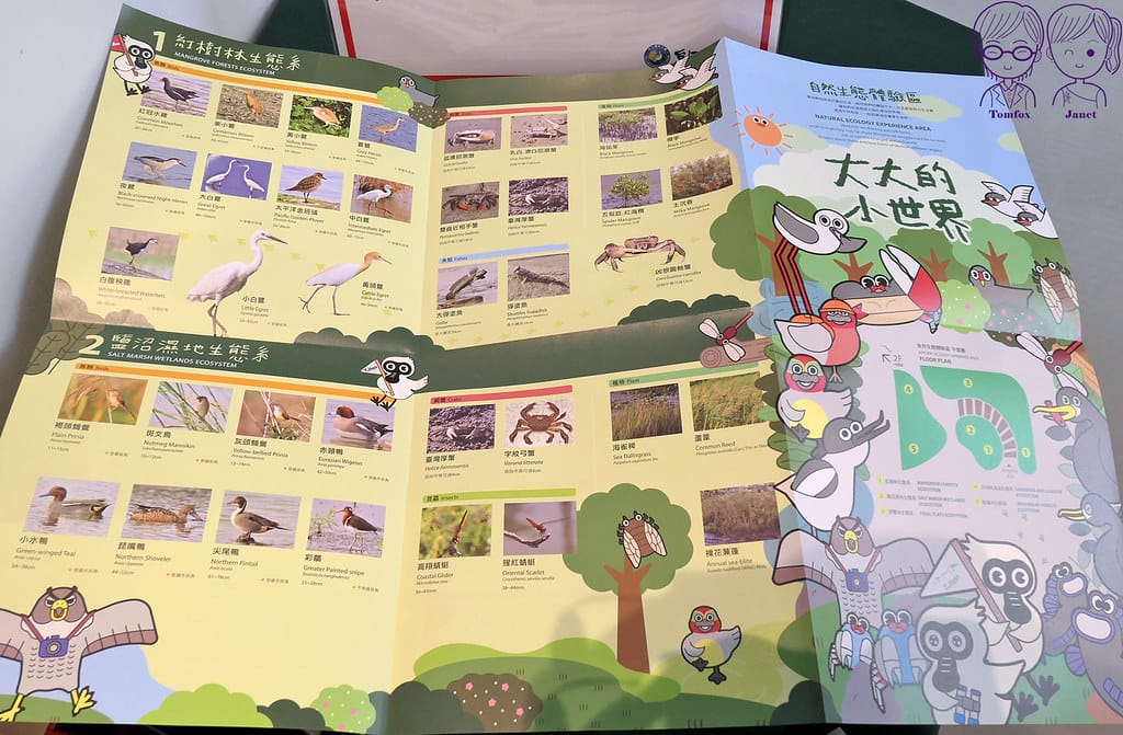 19 台江學園 遊客中心 自然生態體驗區