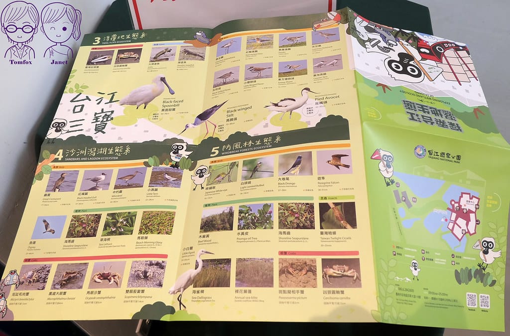 20 台江學園 遊客中心 自然生態體驗區