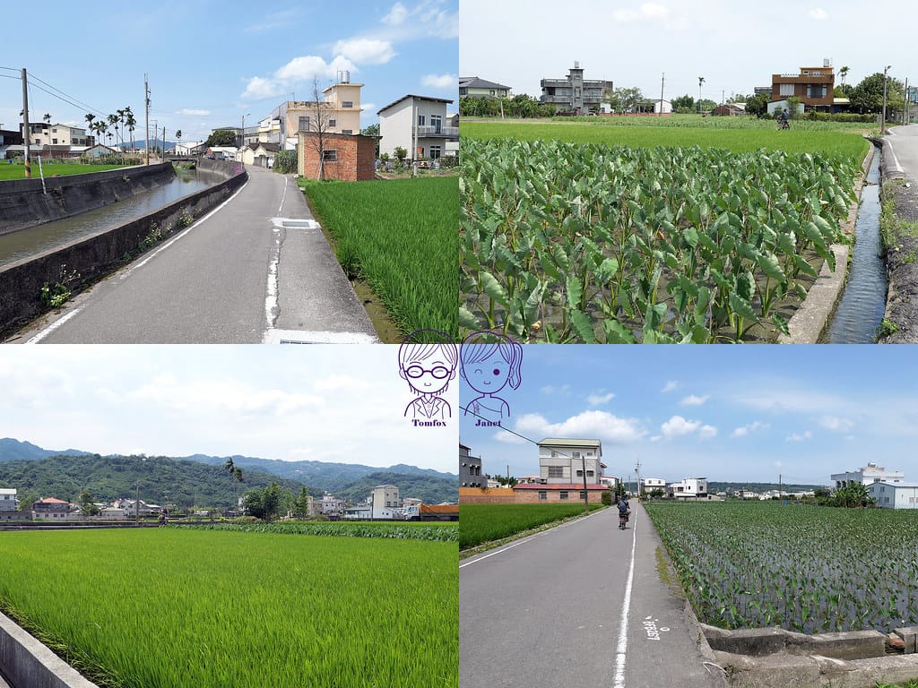 44 和風民宿&和風食堂 腳踏車 鄉間小路