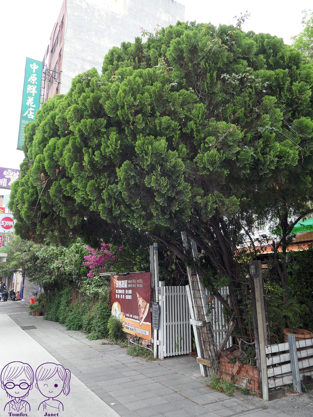 5 幸福花園.jpg