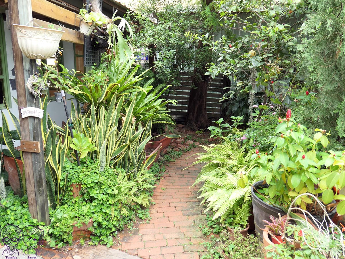 7 幸福花園 花園.jpg