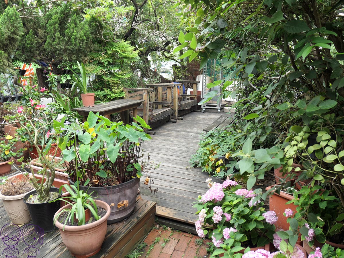 8 幸福花園 花園.jpg