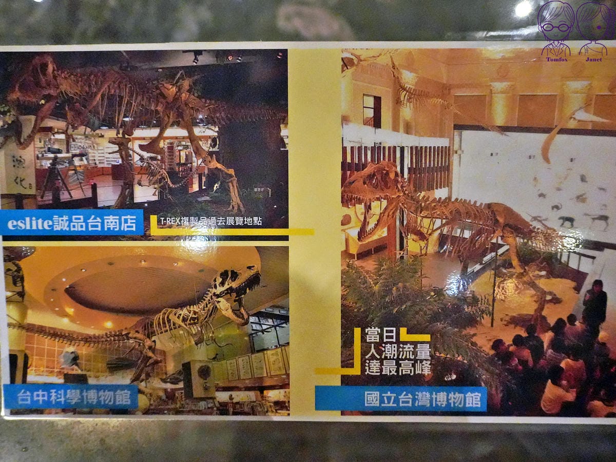 19 Robert Y廢墟暴龍館 暴龍廳化石展.jpg
