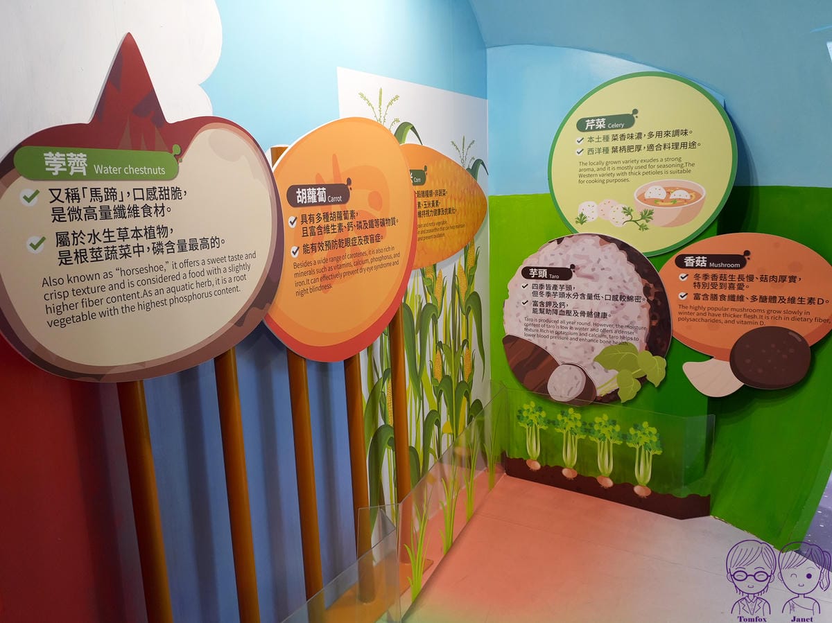16 丸聚星球 星球探索之旅 星球.jpg