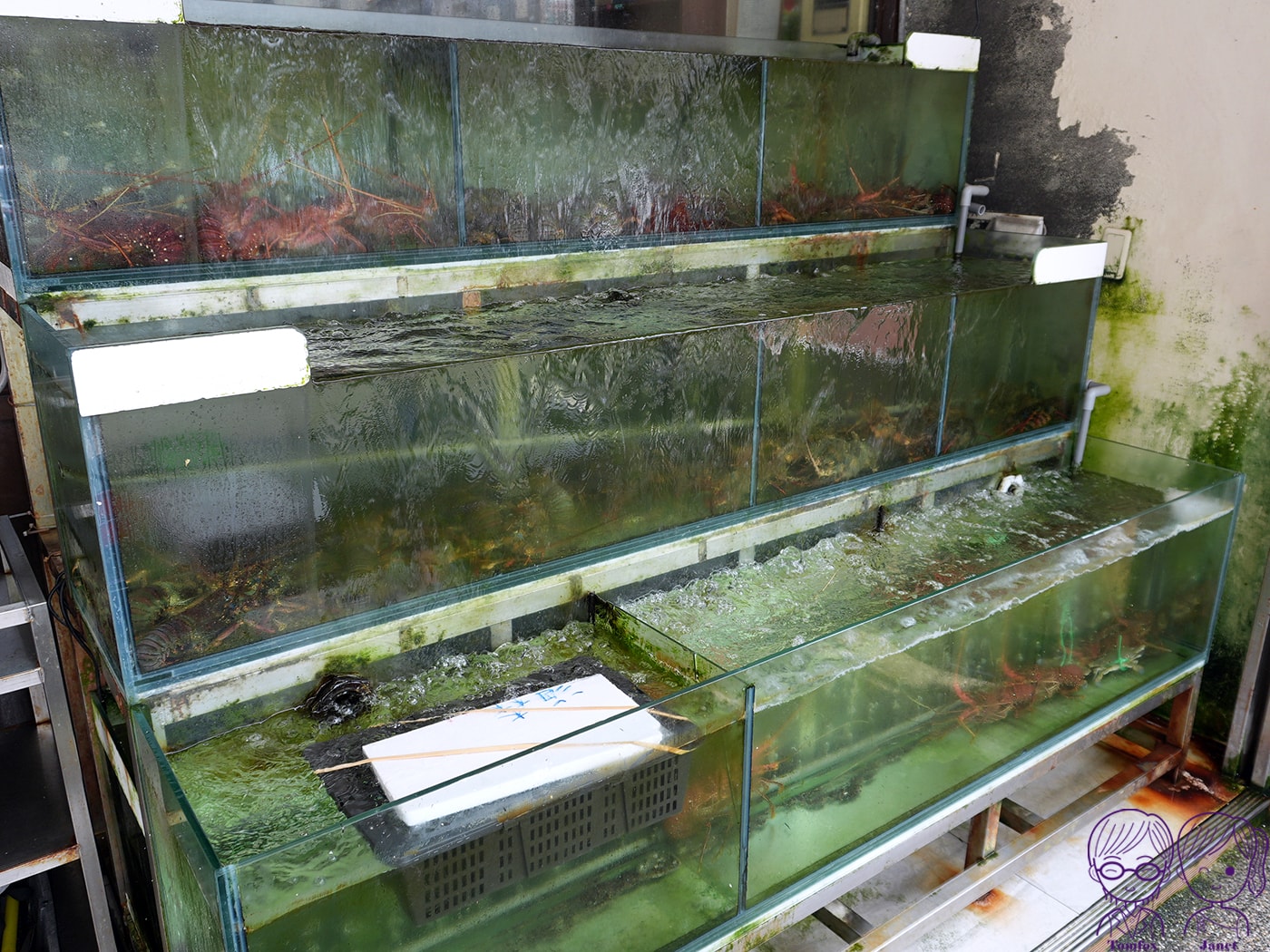 宜蘭聚餐餐廳推薦|海森日式海餐店 在地人推薦的平價海鮮熱炒 Google 4.5星高評價 - 第14張圖 宜蘭聚餐餐廳推薦|海森日式海餐店 在地人推薦的平價海鮮熱炒 Google 4.5星高評價