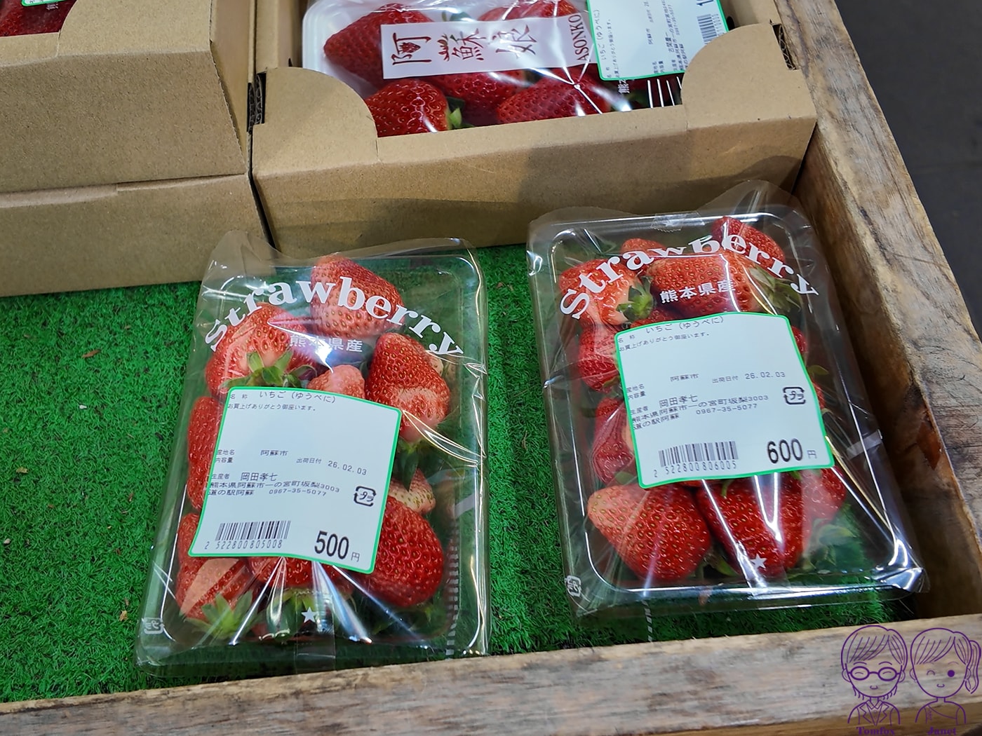 九州草莓攻略|福岡天神AEON、阿蘇道之駅、熊本HalloDay採買推薦!甘王、熊紅、白草莓一次買 - 第11張圖 九州草莓攻略|福岡天神AEON、阿蘇道之駅、熊本HalloDay採買推薦!甘王、熊紅、白草莓一次買