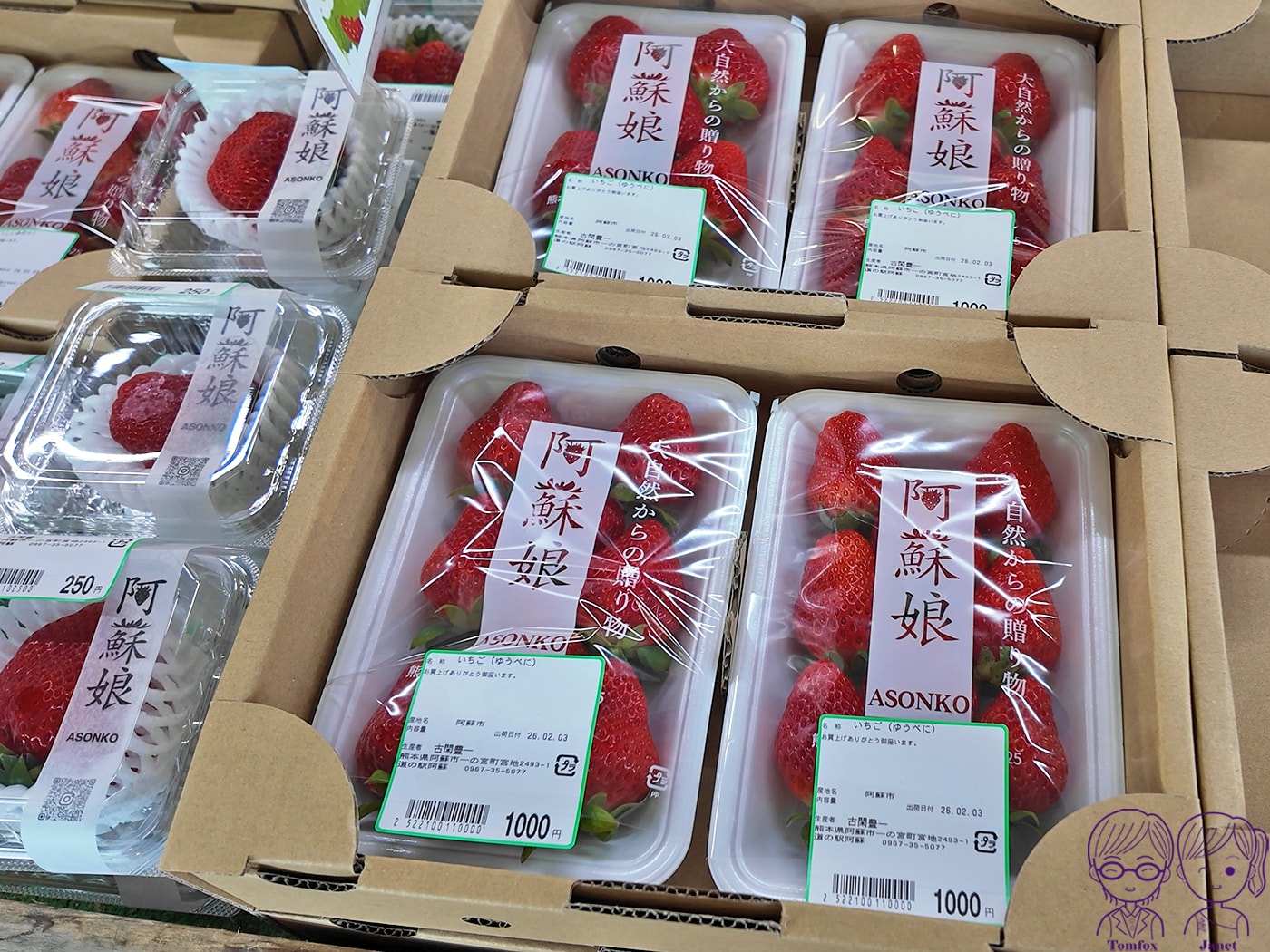 九州草莓攻略|福岡天神AEON、阿蘇道之駅、熊本HalloDay採買推薦!甘王、熊紅、白草莓一次買 - 第13張圖 九州草莓攻略|福岡天神AEON、阿蘇道之駅、熊本HalloDay採買推薦!甘王、熊紅、白草莓一次買