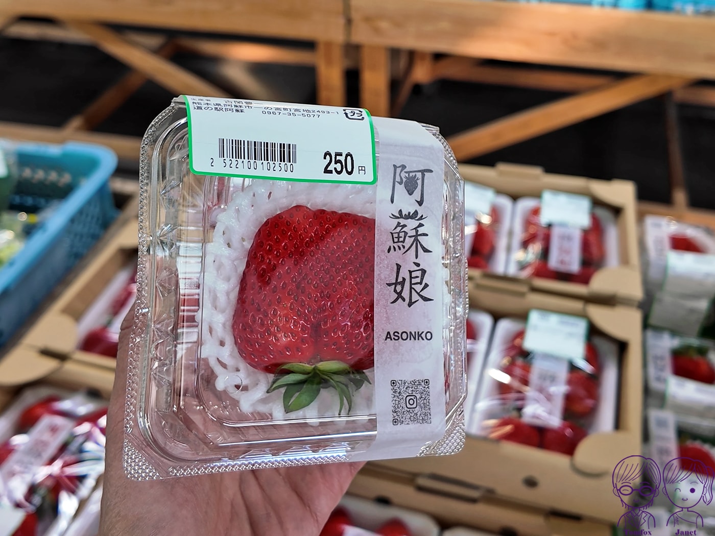 九州草莓攻略|福岡天神AEON、阿蘇道之駅、熊本HalloDay採買推薦!甘王、熊紅、白草莓一次買 - 第14張圖 九州草莓攻略|福岡天神AEON、阿蘇道之駅、熊本HalloDay採買推薦!甘王、熊紅、白草莓一次買