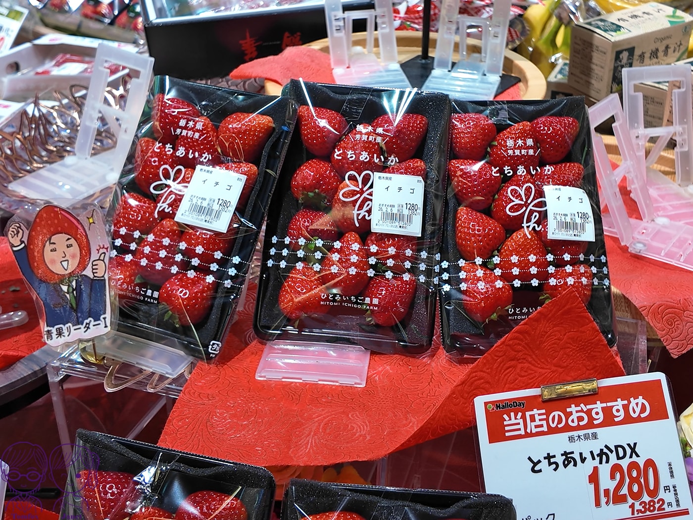九州草莓攻略|福岡天神AEON、阿蘇道之駅、熊本HalloDay採買推薦!甘王、熊紅、白草莓一次買 - 第19張圖 九州草莓攻略|福岡天神AEON、阿蘇道之駅、熊本HalloDay採買推薦!甘王、熊紅、白草莓一次買